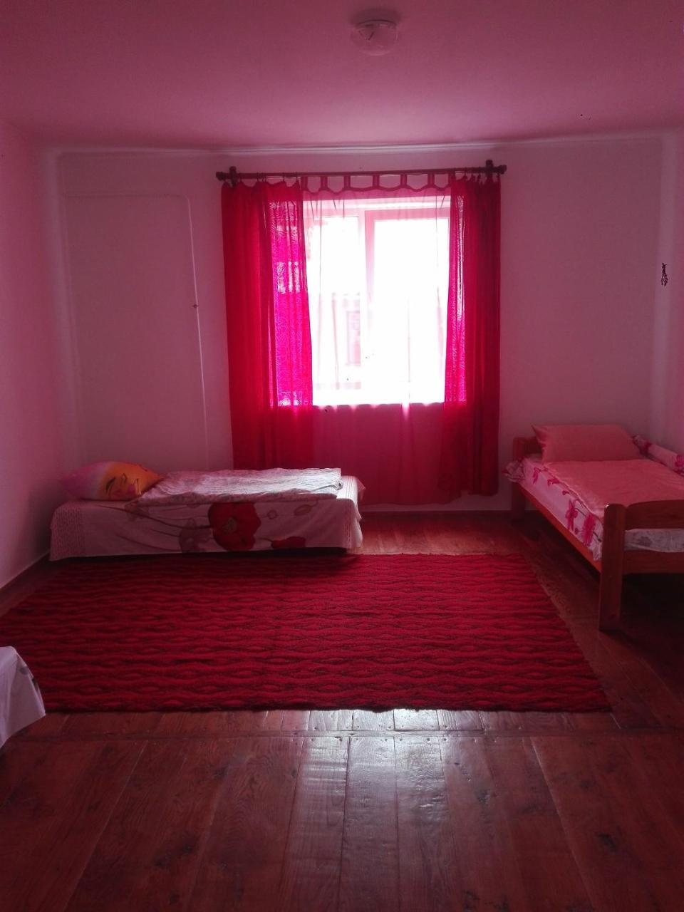 Halex5 Hostal Svidova Exterior foto